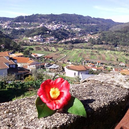 Casinha Da Sobreira Villa Penacova Buitenkant foto