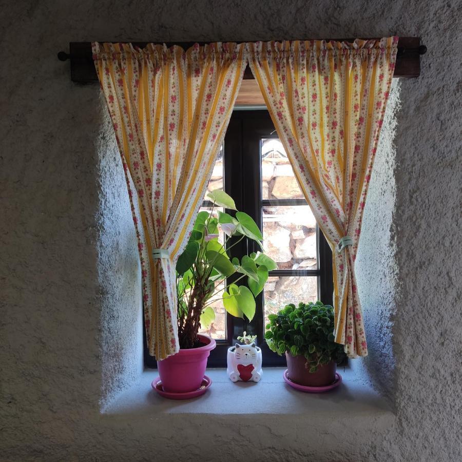 Casinha Da Sobreira Villa Penacova Buitenkant foto