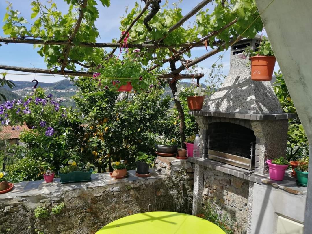 Casinha Da Sobreira Villa Penacova Buitenkant foto