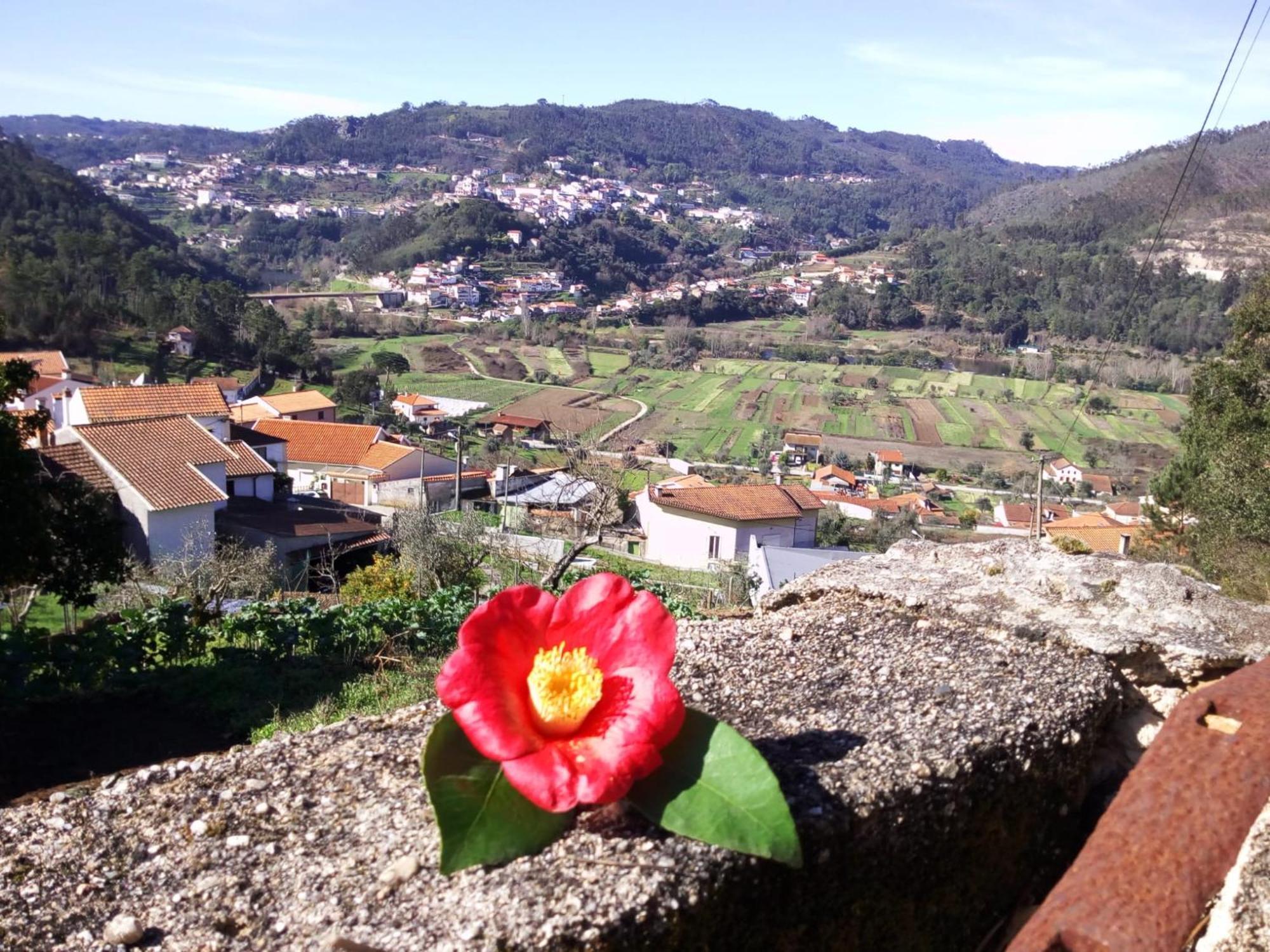 Casinha Da Sobreira Villa Penacova Buitenkant foto